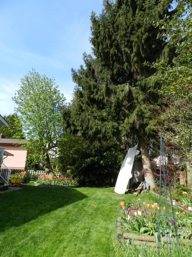 Bed and Breakfast Serenity à Burnaby Extérieur photo