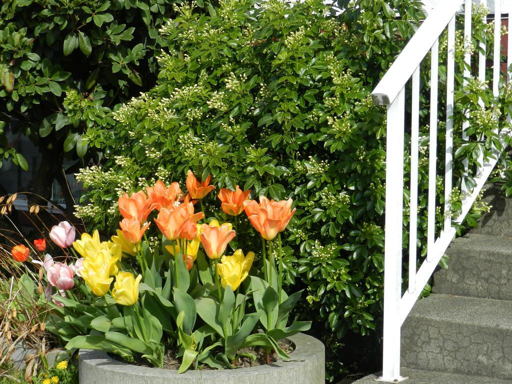 Bed and Breakfast Serenity à Burnaby Extérieur photo