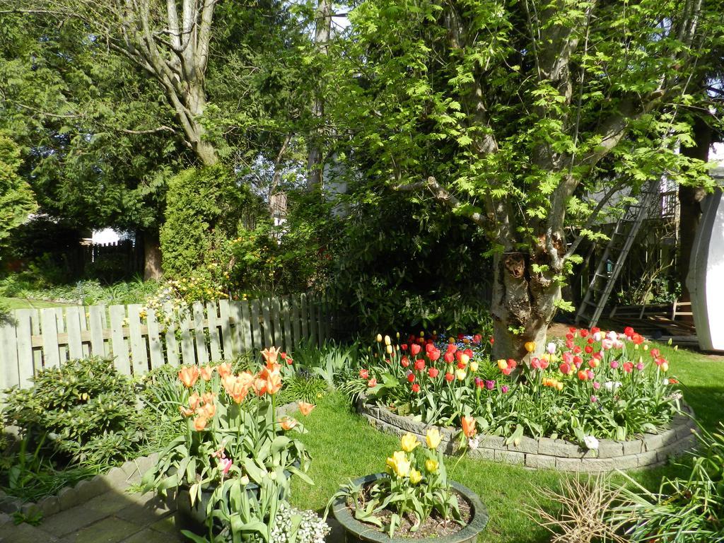 Bed and Breakfast Serenity à Burnaby Extérieur photo