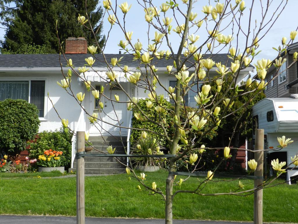 Bed and Breakfast Serenity à Burnaby Extérieur photo