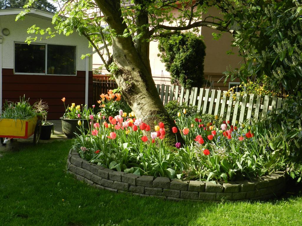 Bed and Breakfast Serenity à Burnaby Extérieur photo